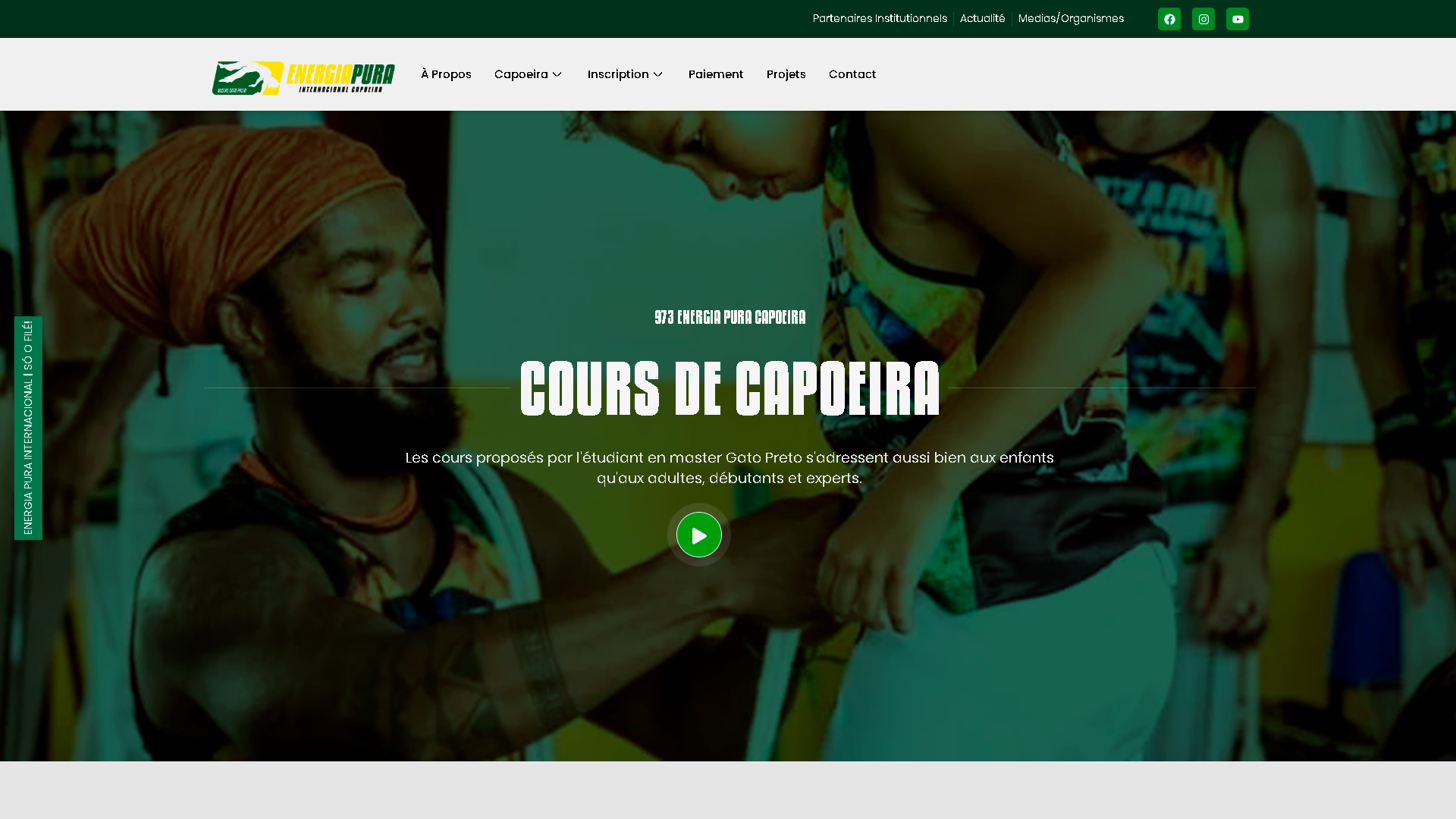 D2E-digital-agencia-web-criacao-de-sites-de-sistemas-com-ia-design-grafico-automacoes-projeto-energia-pura-guyana-francesa