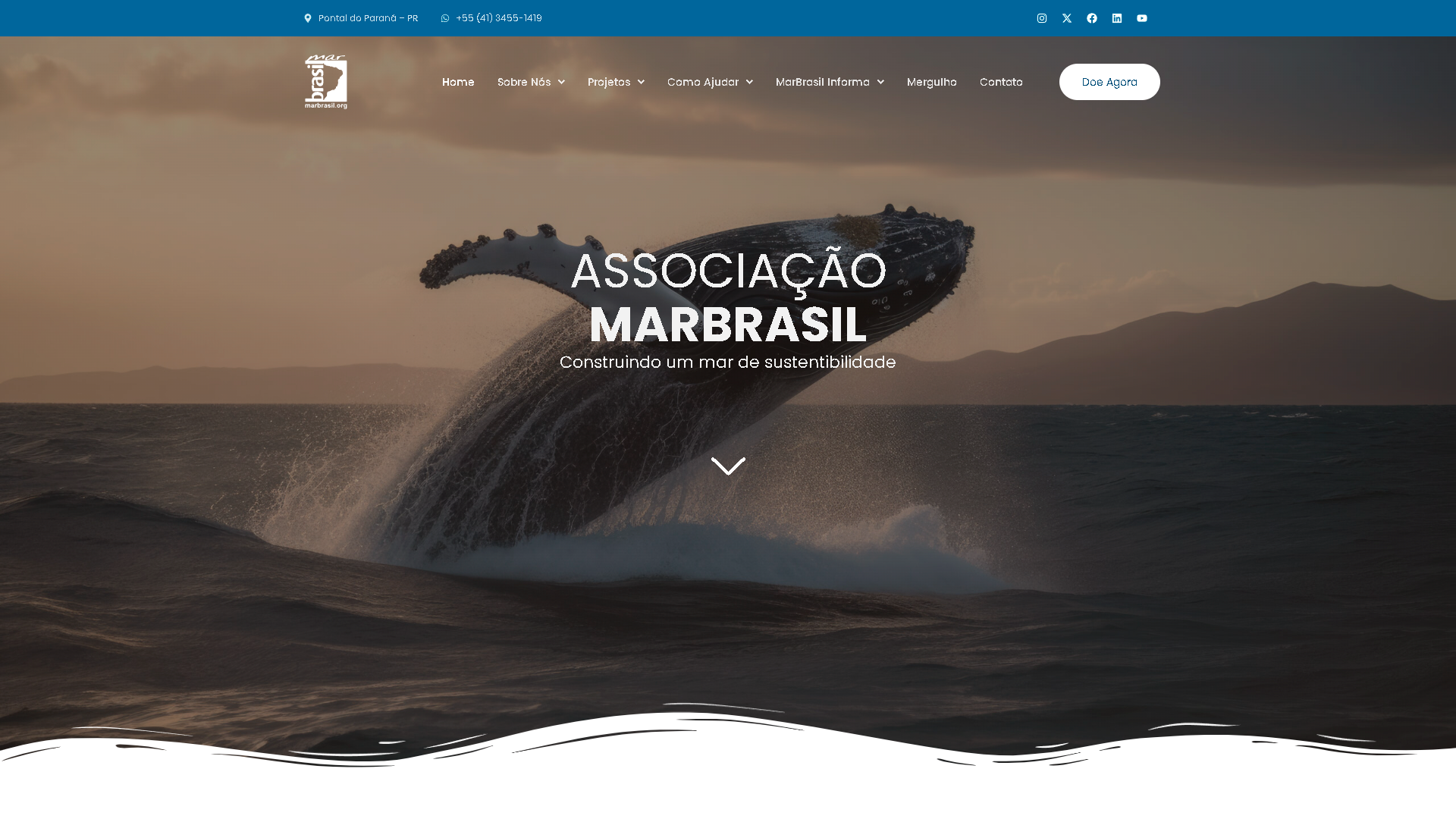 D2E-digital-agencia-web-criacao-de-sites-de-sistemas-com-ia-design-grafico-automacoes-projeto-mar-brasil