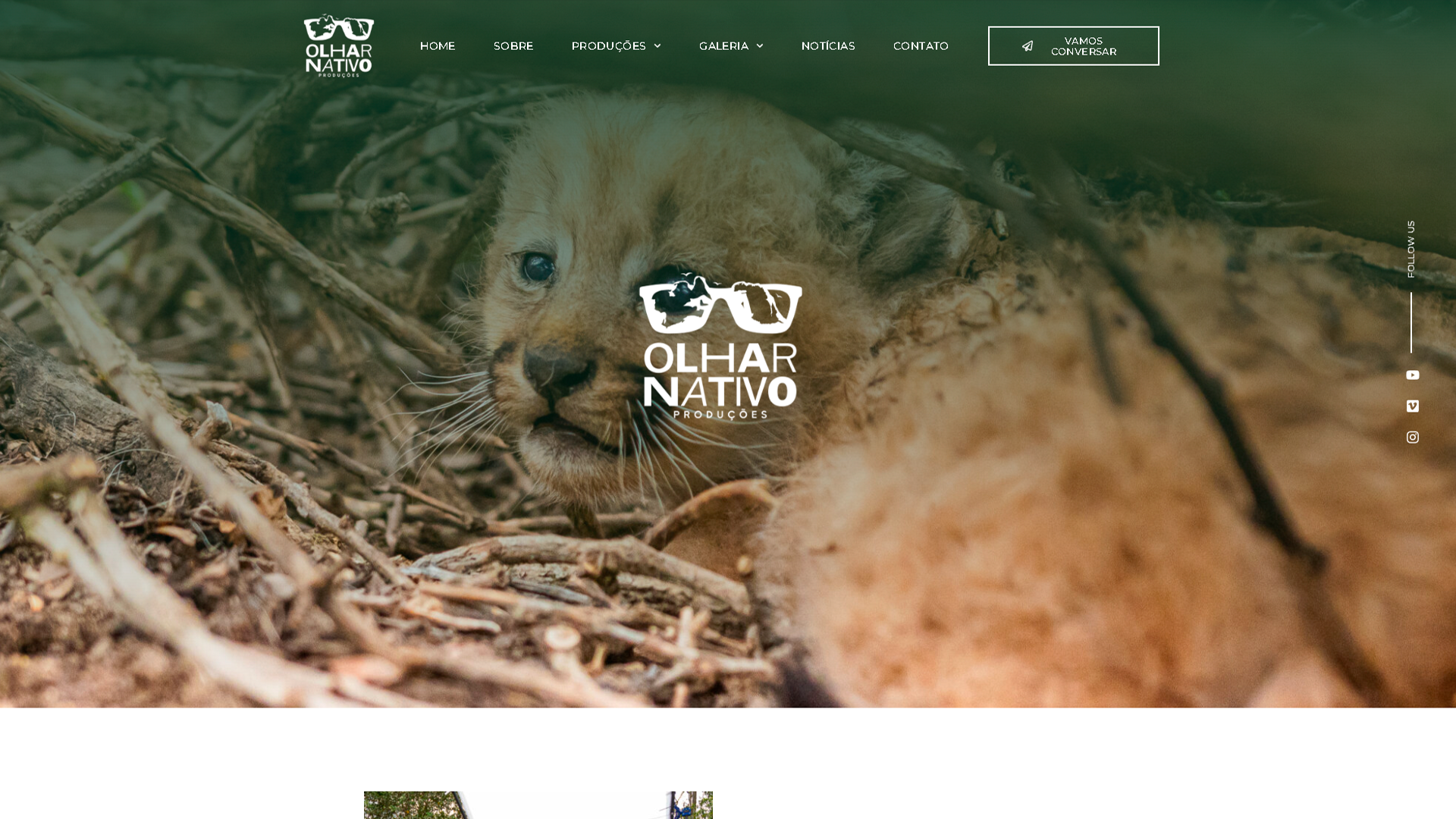 D2E-digital-agencia-web-criacao-de-sites-de-sistemas-com-ia-design-grafico-automacoes-projeto-olhar-nativo